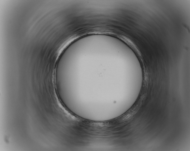 X0000103960855200809191333