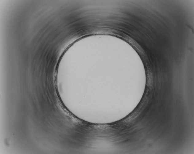 X0000103960856200809191333