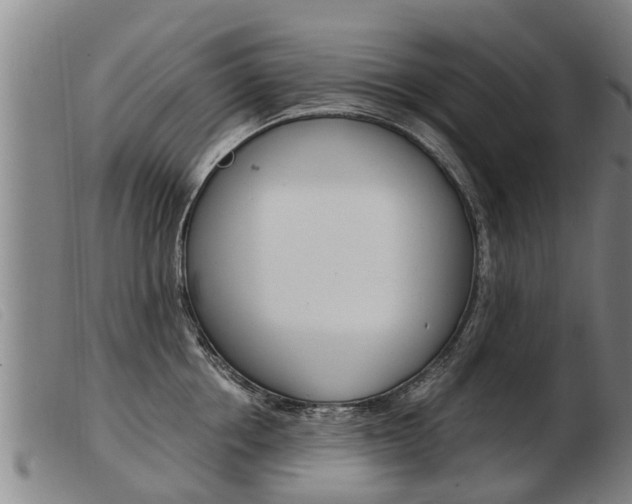 X0000103960858200809191333