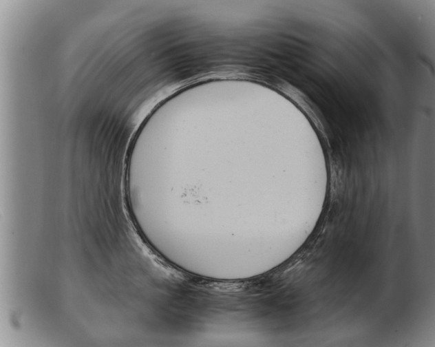 X0000103960861200809191333