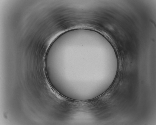 X0000103960862200809191333