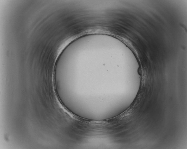 X0000103960863200809191333