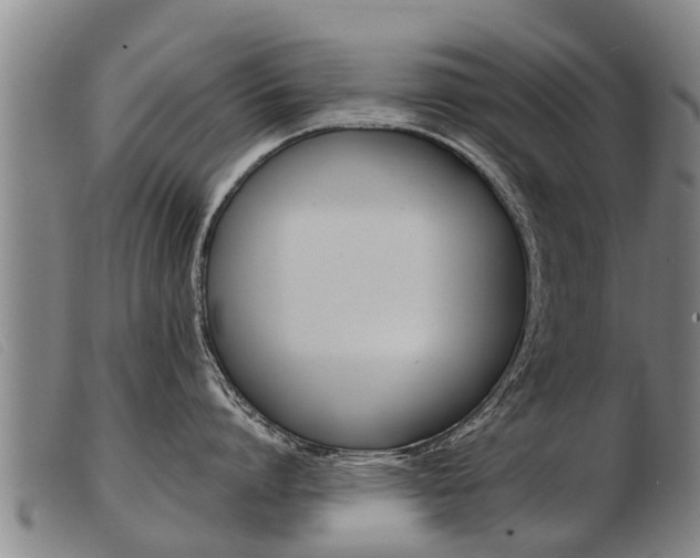 X0000103960864200809191333