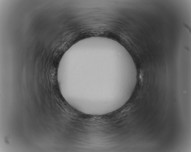 X0000103960867200809191332