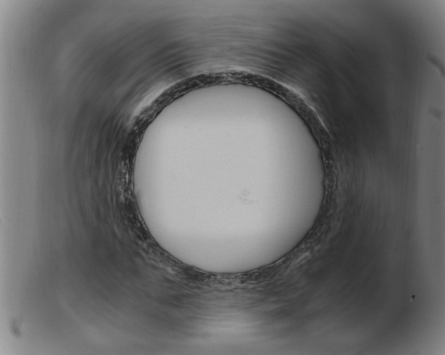 X0000103960871200809191332