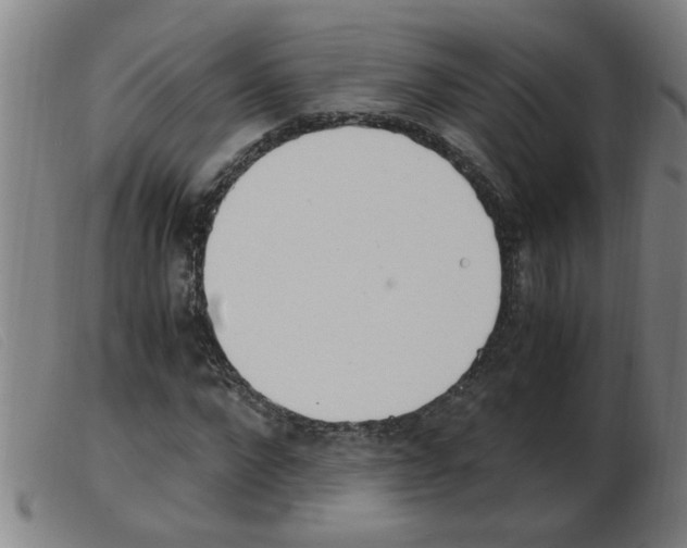 X0000103960872200809191332