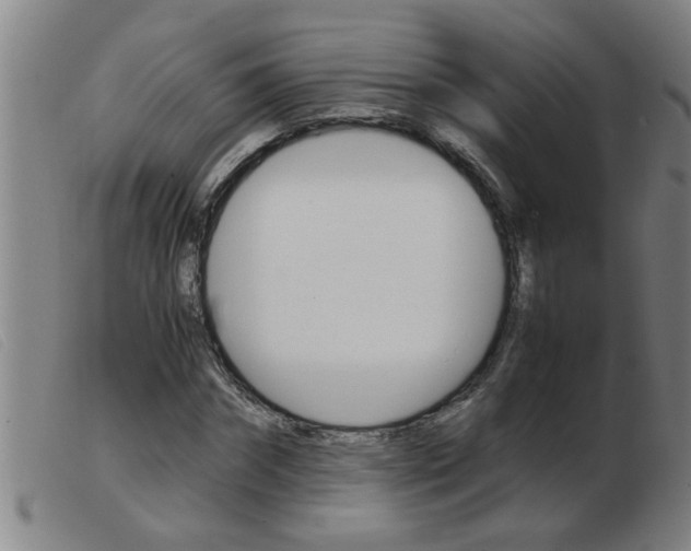 X0000103960874200809191332
