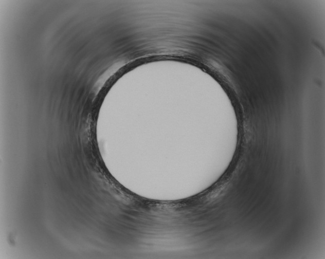 X0000103960875200809191332