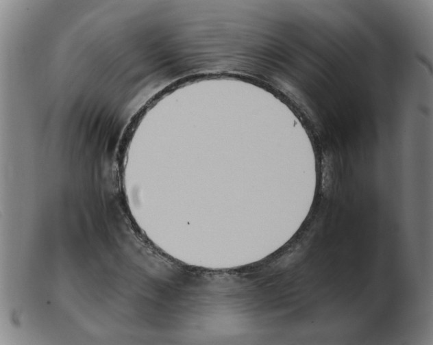 X0000103960876200809191332