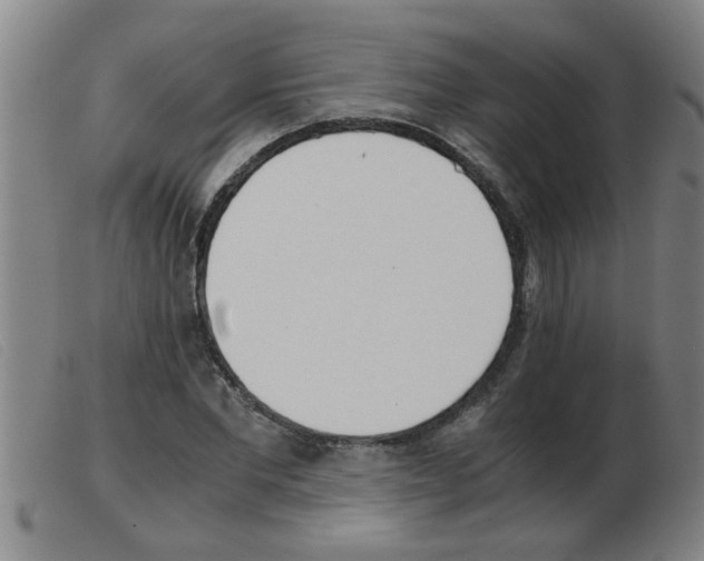 X0000103960877200809191332