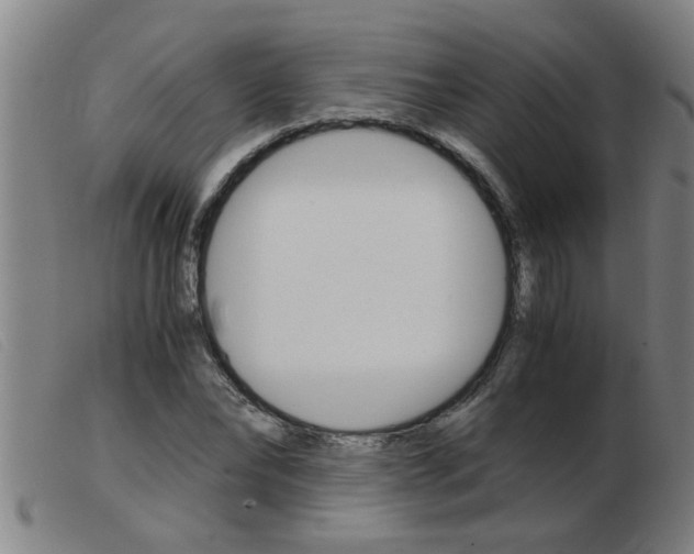 X0000103960878200809191332