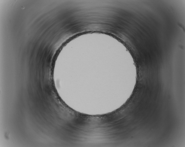 X0000103960880200809191332