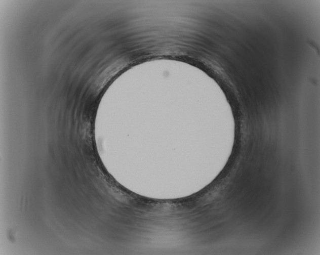 X0000103960881200809191332