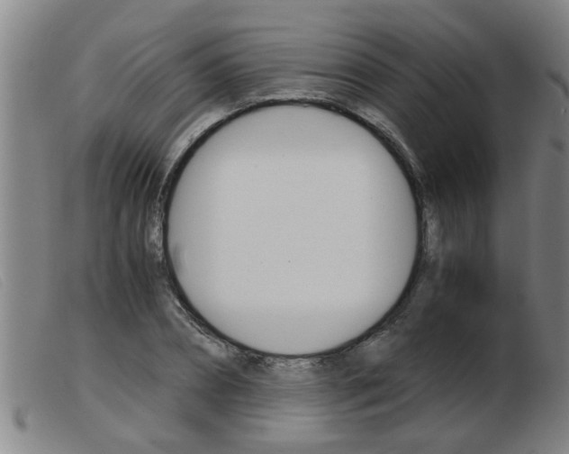 X0000103960882200809191332
