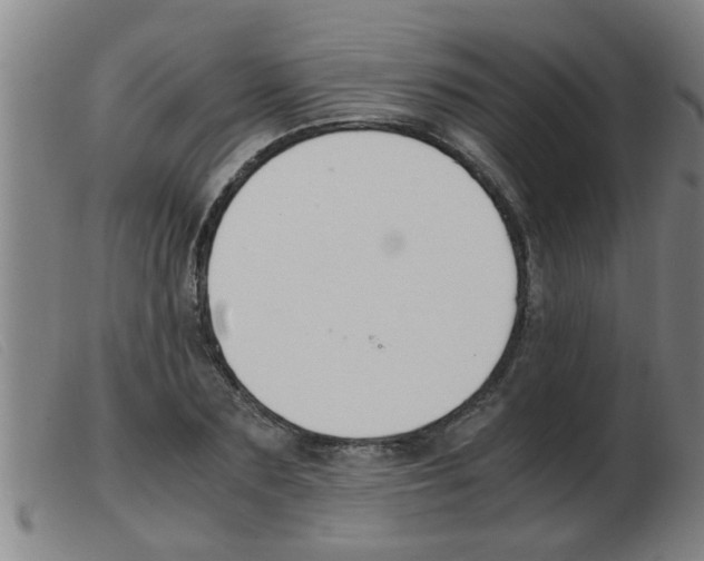 X0000103960883200809191332