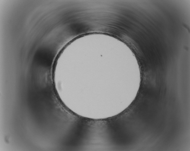X0000103960884200809191332