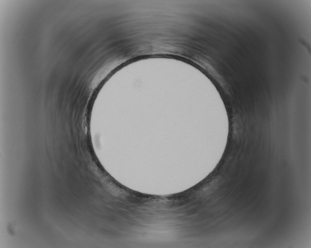 X0000103960885200809191332