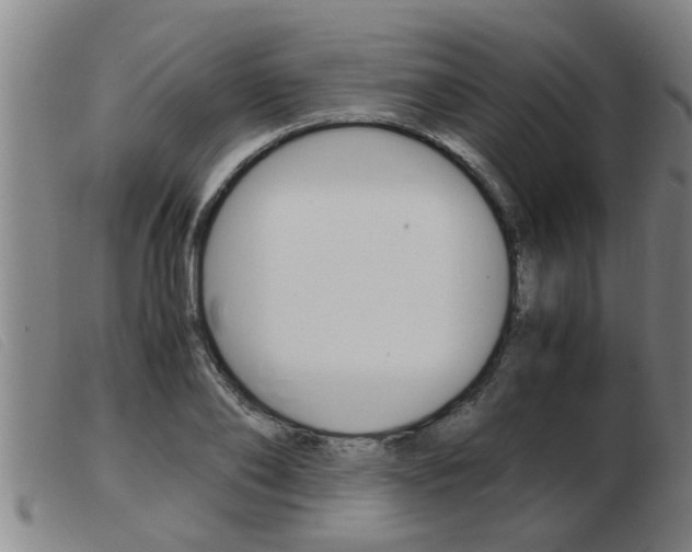 X0000103960886200809191332