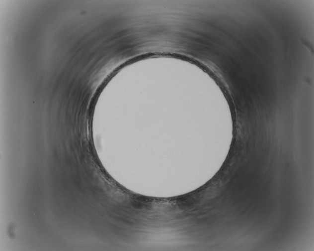 X0000103960887200809191332