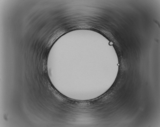 X0000103960889200809191332