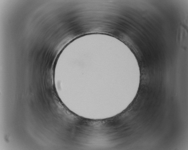 X0000103960892200809191331