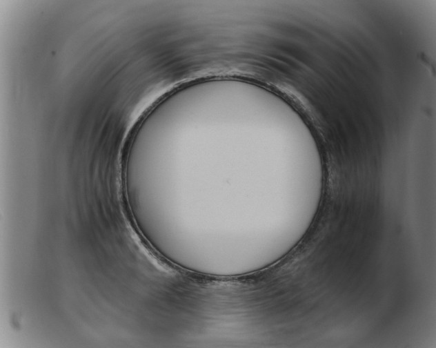 X0000103960894200809191331