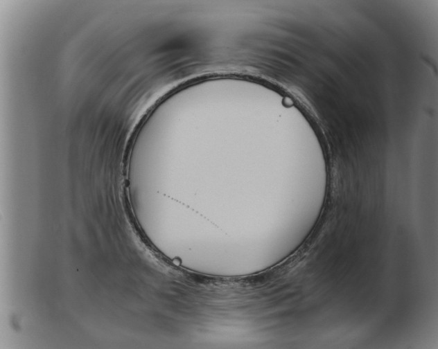 X0000103960895200809191331