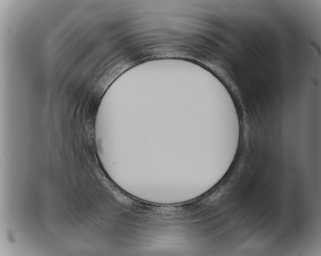 X0000103960897200809191331