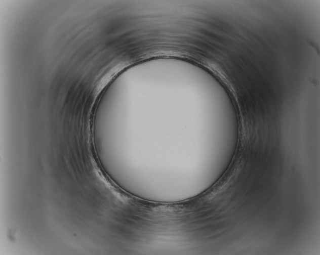 X0000103960898200809191331