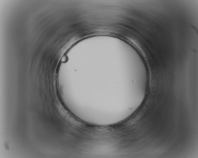 X0000103960899200809191331