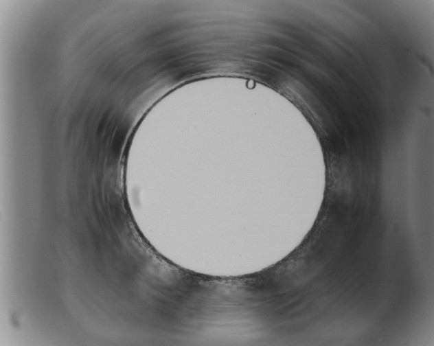 X0000103960900200809191331