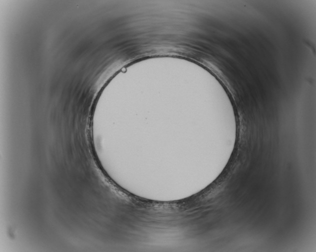 X0000103960901200809191331