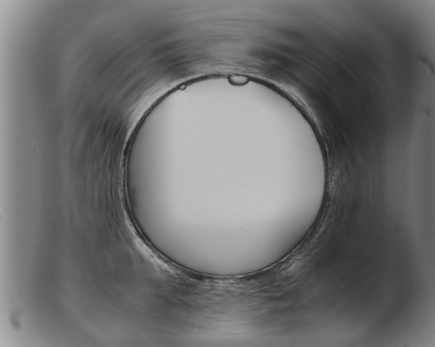 X0000103960903200809191331