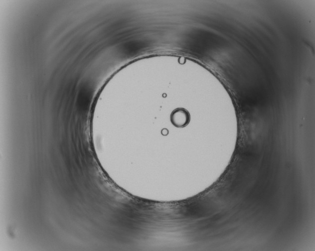 X0000103960904200809191331