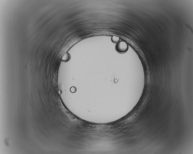 X0000103960905200809191331