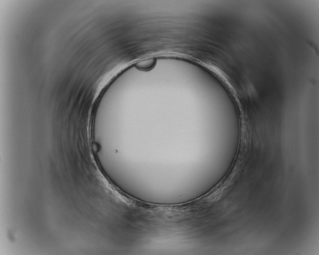 X0000103960910200809191331