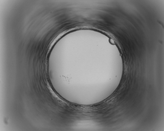 X0000103960911200809191331