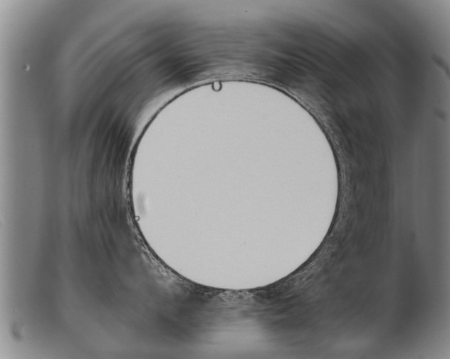 X0000103960912200809191331