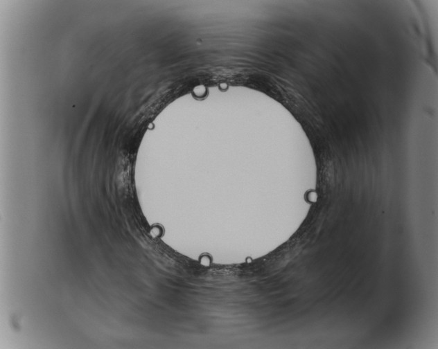 X0000103960914200809191331