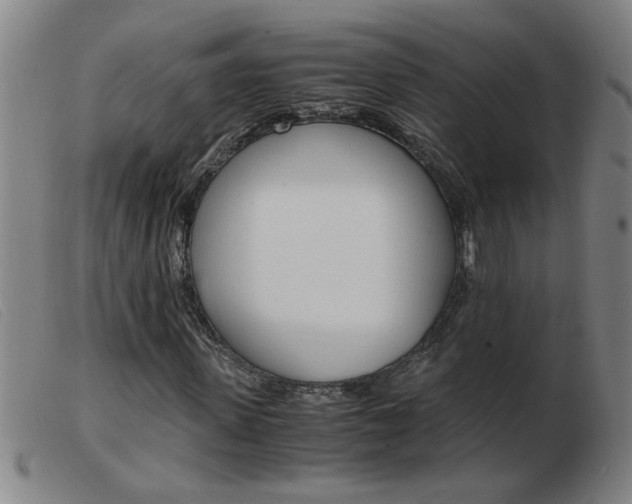 X0000103960915200809191331