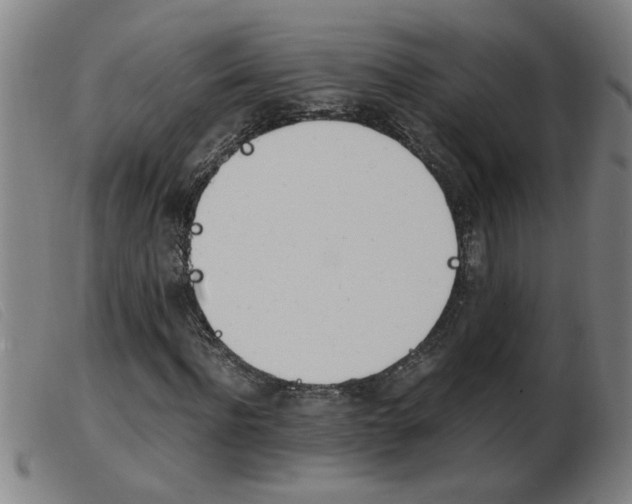 X0000103960916200809191331