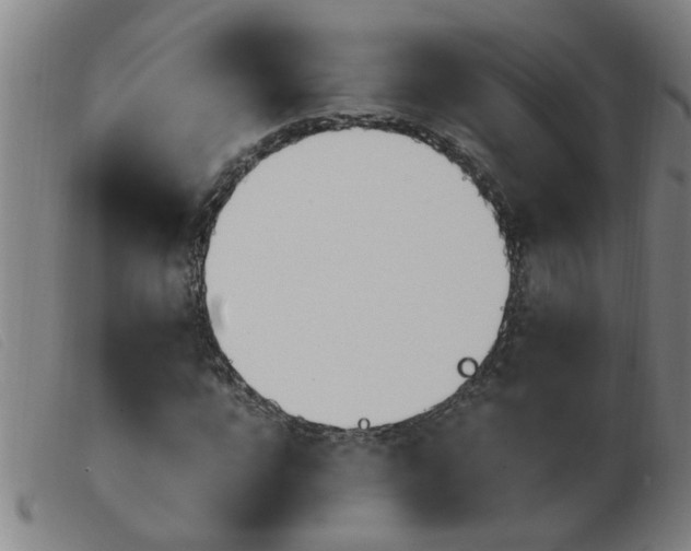 X0000103960920200809191331