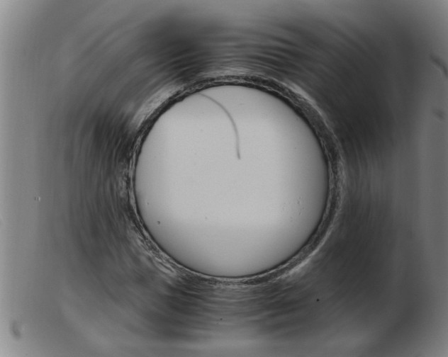 X0000103960921200809191331