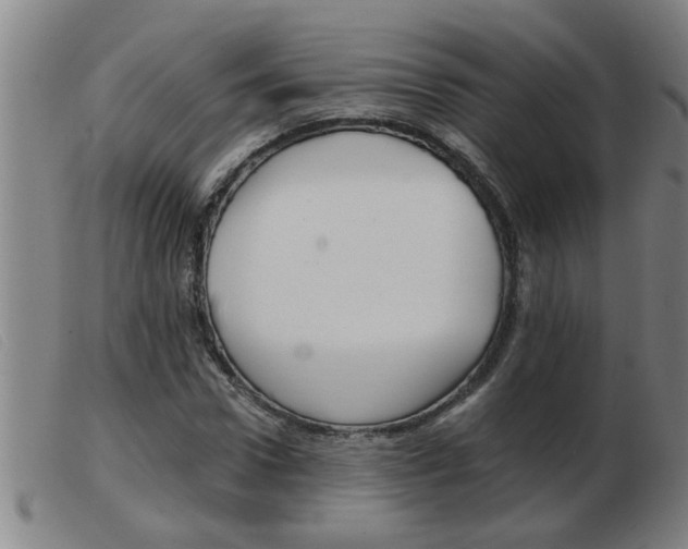 X0000103960922200809191331