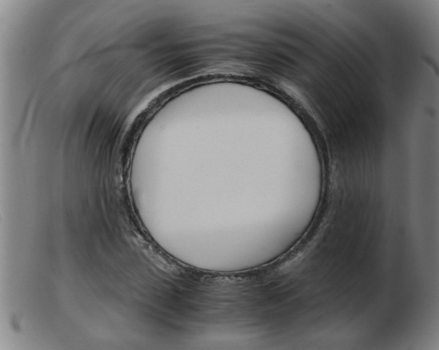 X0000103960923200809191331
