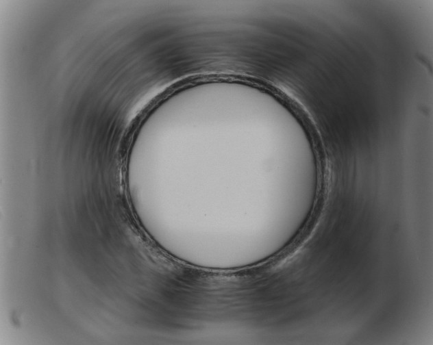 X0000103960925200809191331
