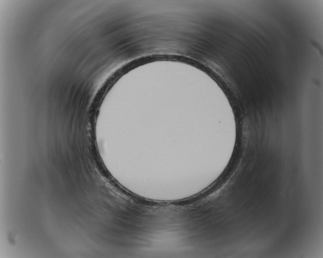 X0000103960926200809191331