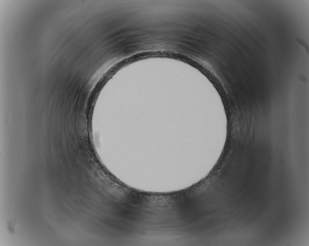 X0000103960927200809191331