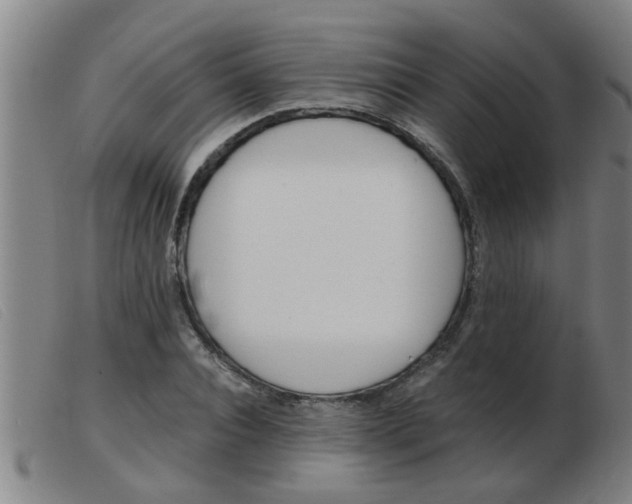 X0000103960928200809191331