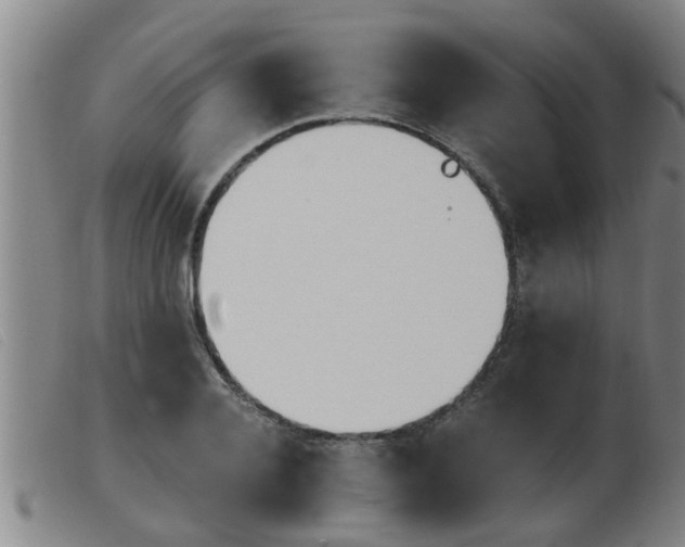 X0000103960936200809191331